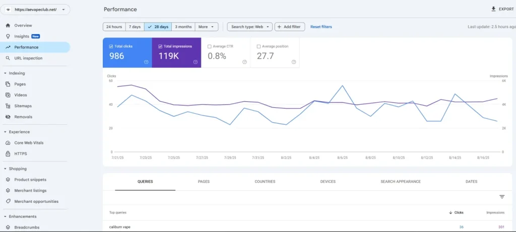 Google Search Console performance for the store